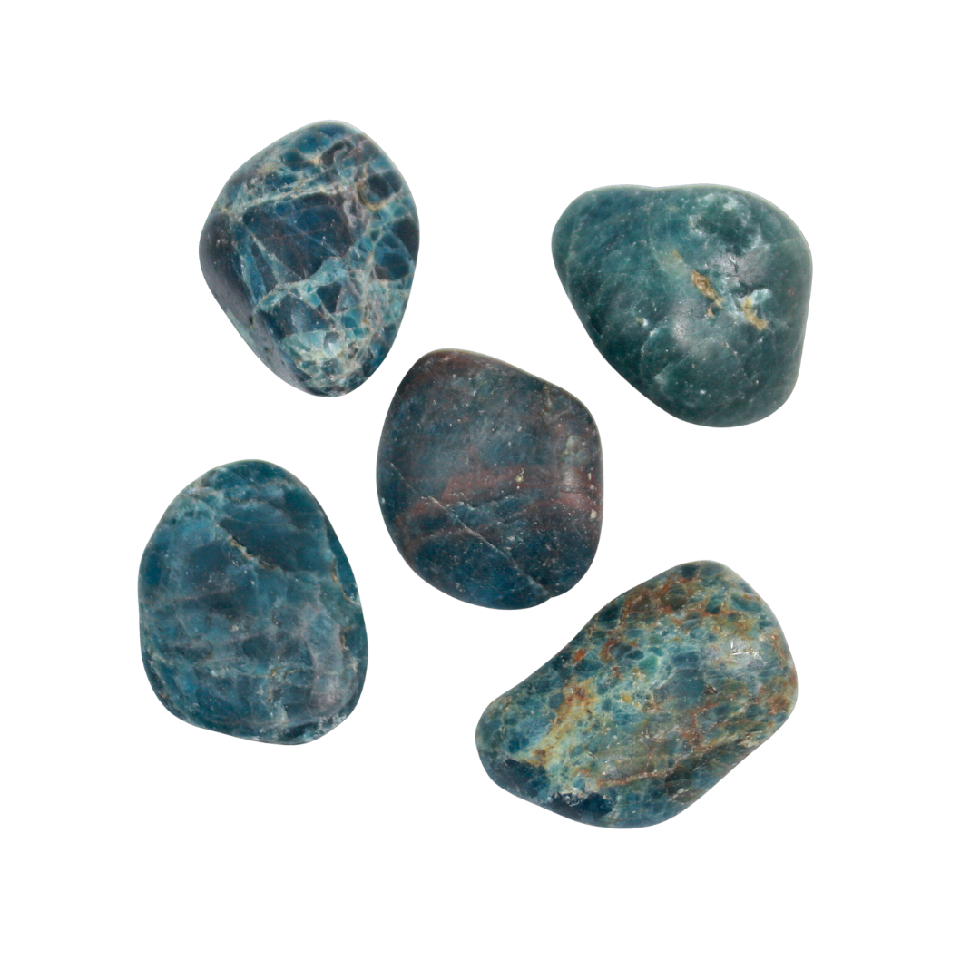 TUMBLED STONES - Apatite, Q1