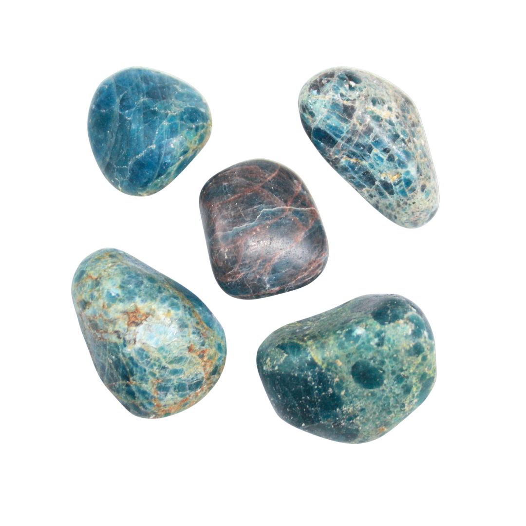 TUMBLED STONES - Apatite, Q2