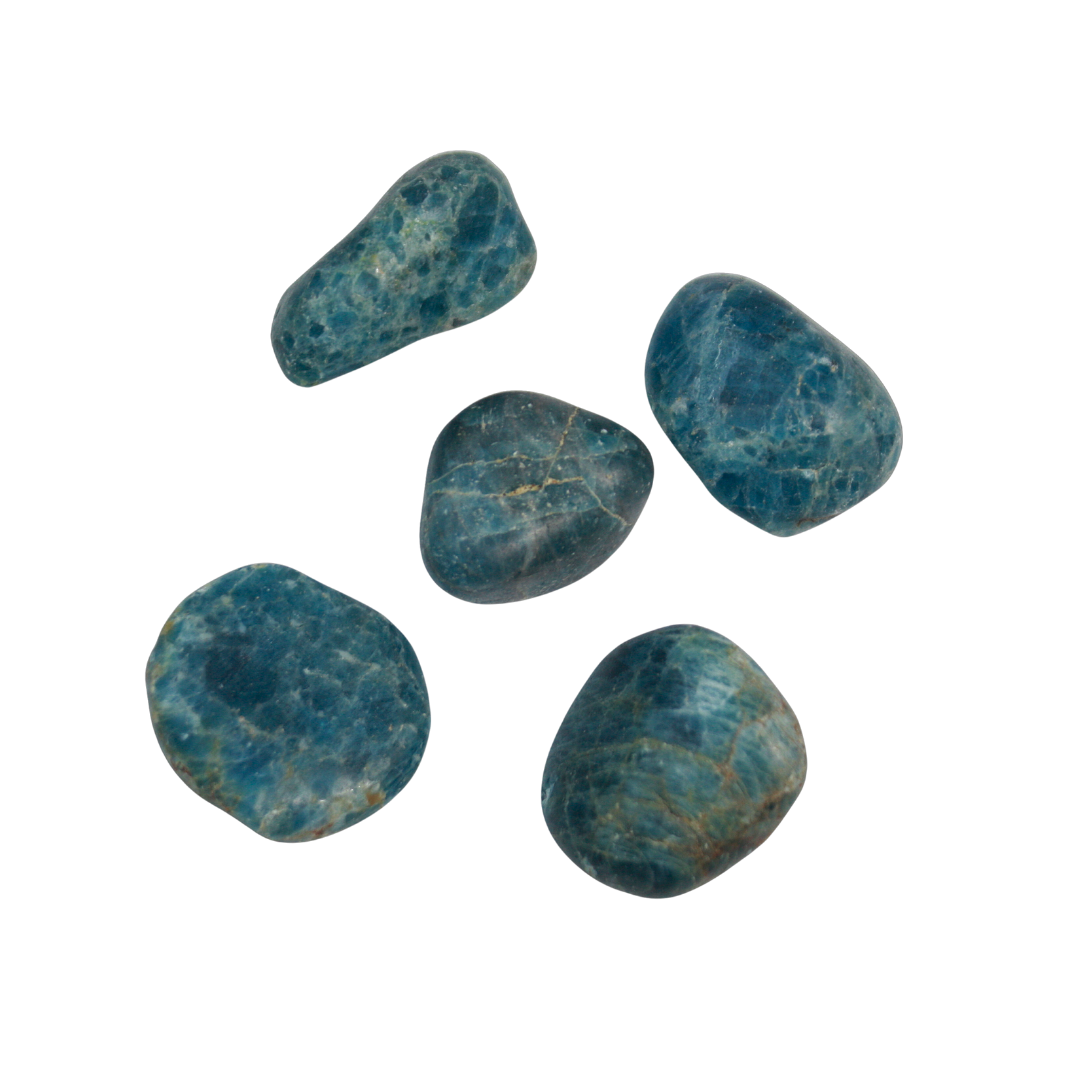 TUMBLED STONES - Apatite, EXTRA