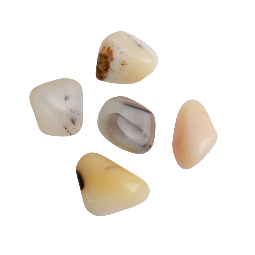 TUMBLED STONES - White Opal, Q1